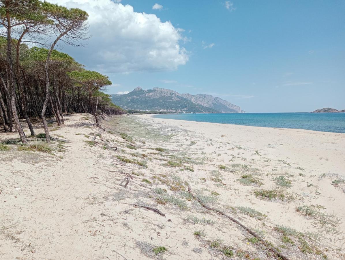 Locanda D'Ogliastra, Triei ภายนอก รูปภาพ