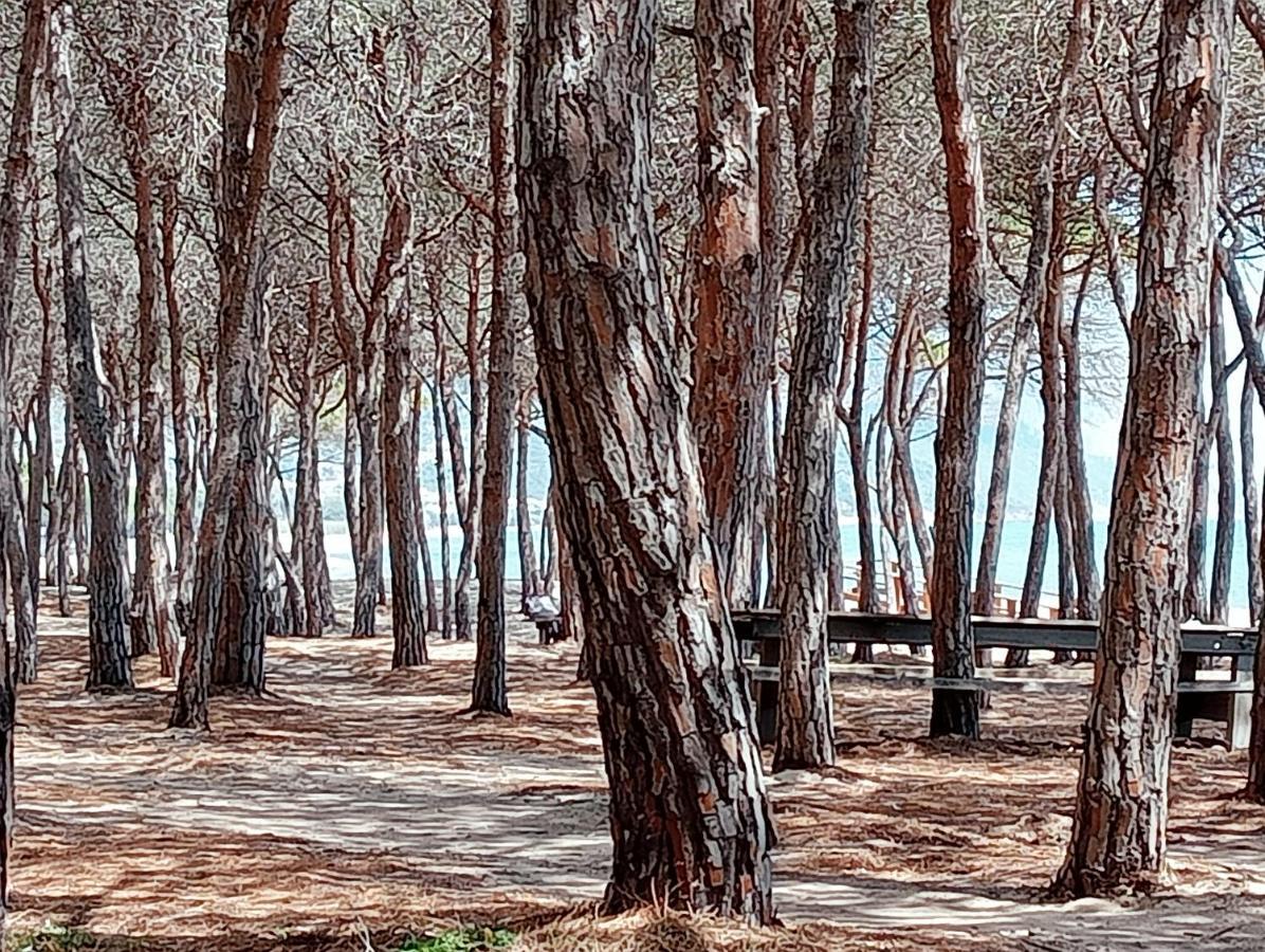 Locanda D'Ogliastra, Triei ภายนอก รูปภาพ