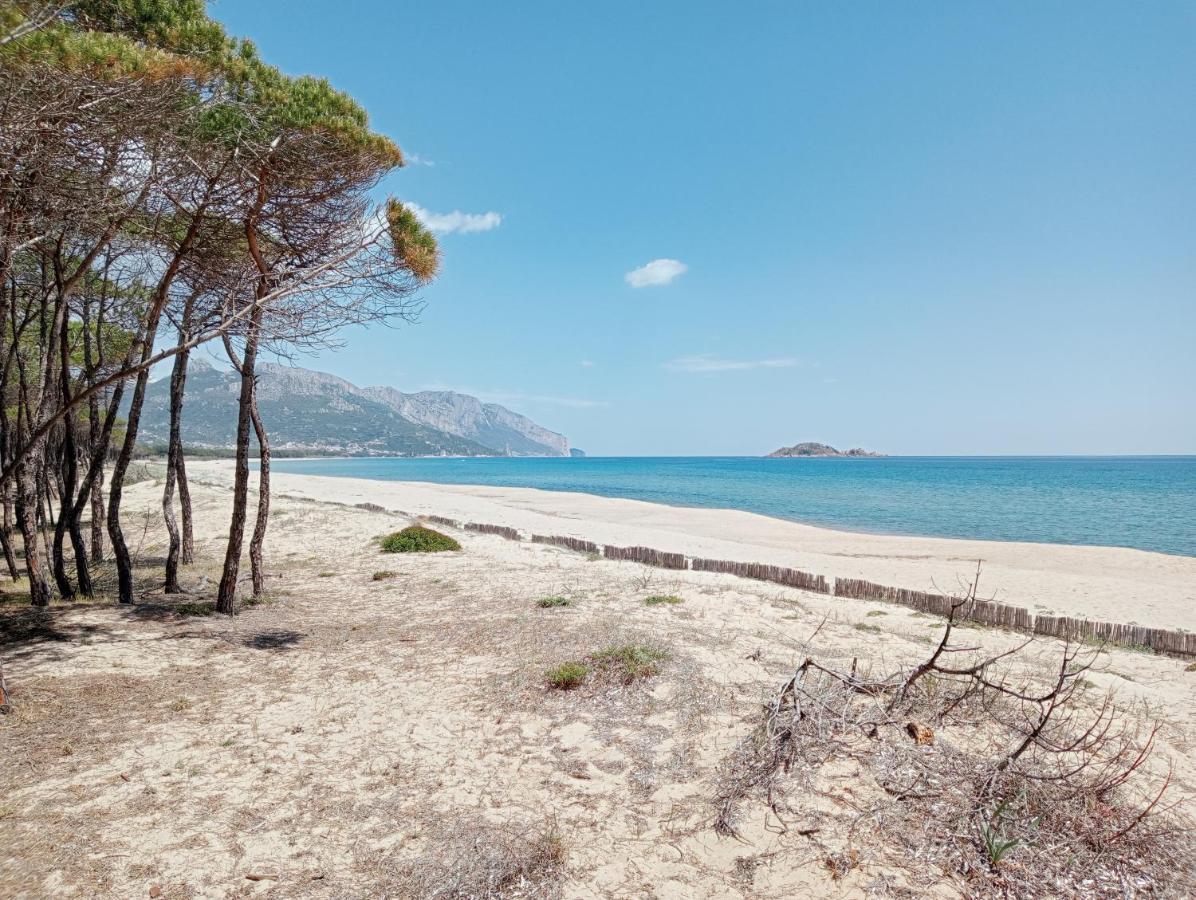 Locanda D'Ogliastra, Triei ภายนอก รูปภาพ