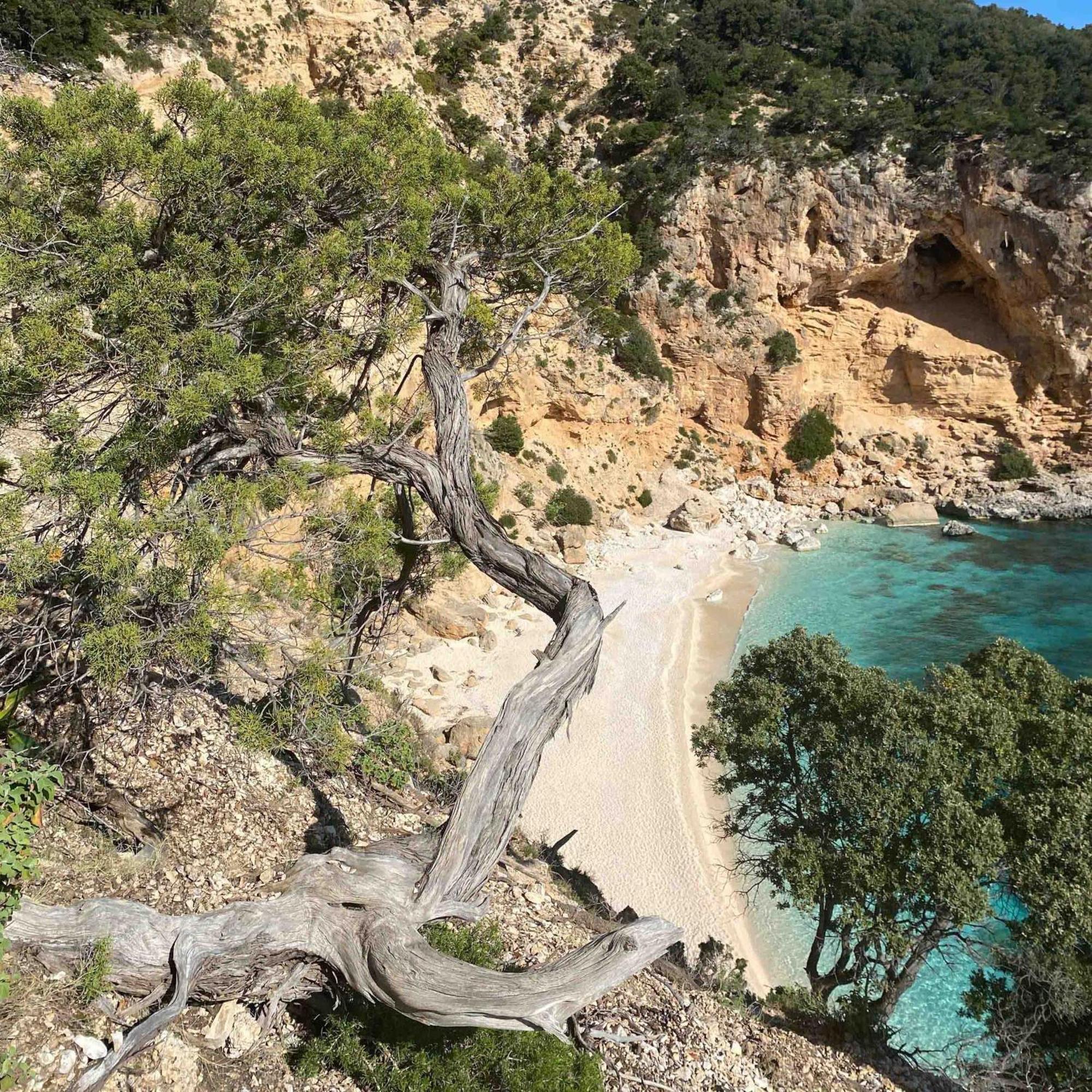 Locanda D'Ogliastra, Triei ภายนอก รูปภาพ